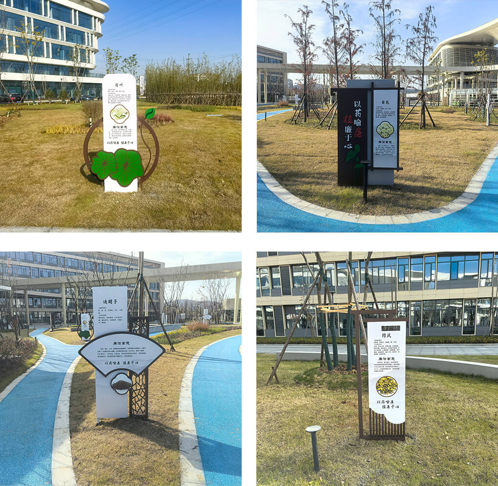 游艇会yth·(中国区)官方网站